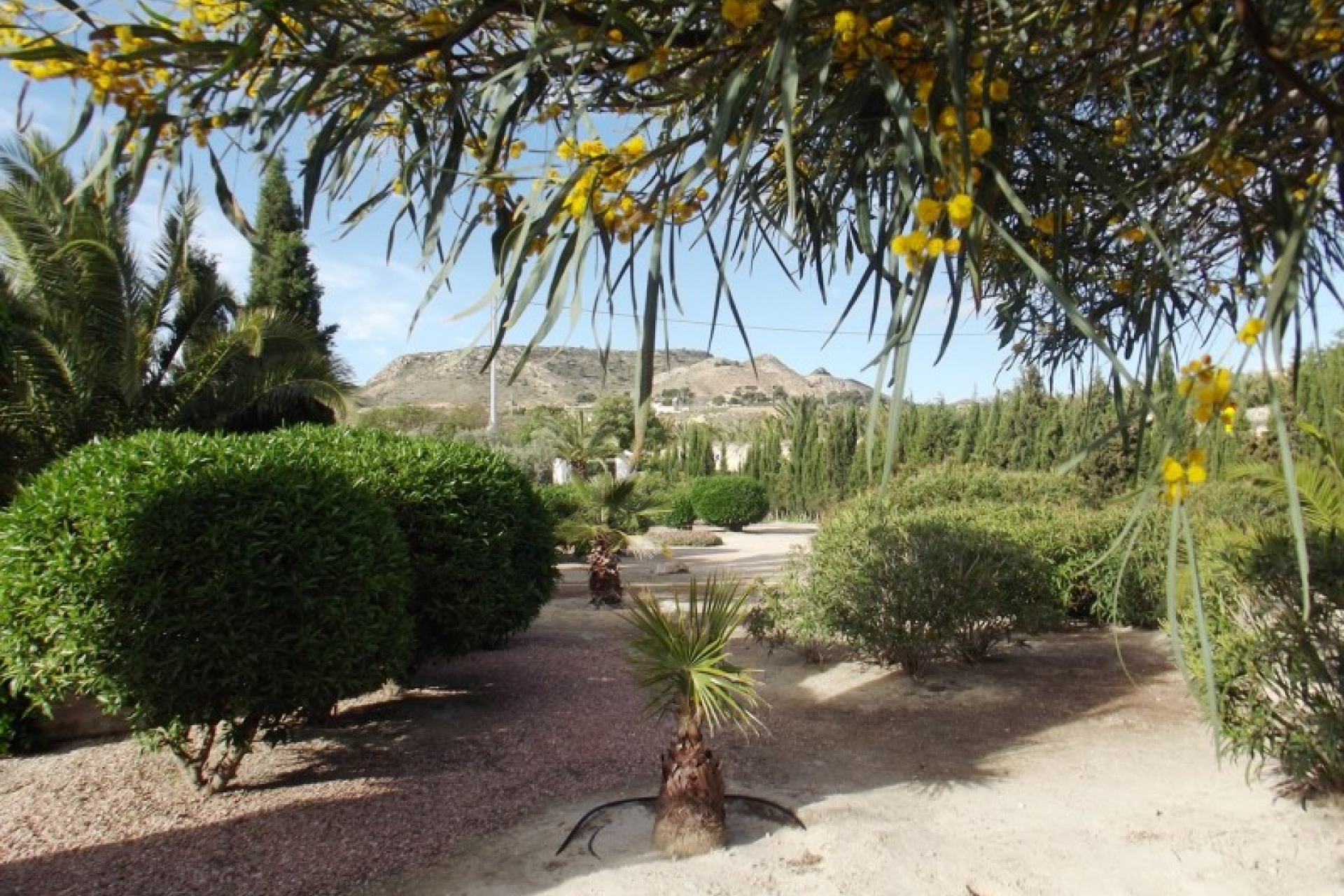 Archived - Finca for sale - Aspe