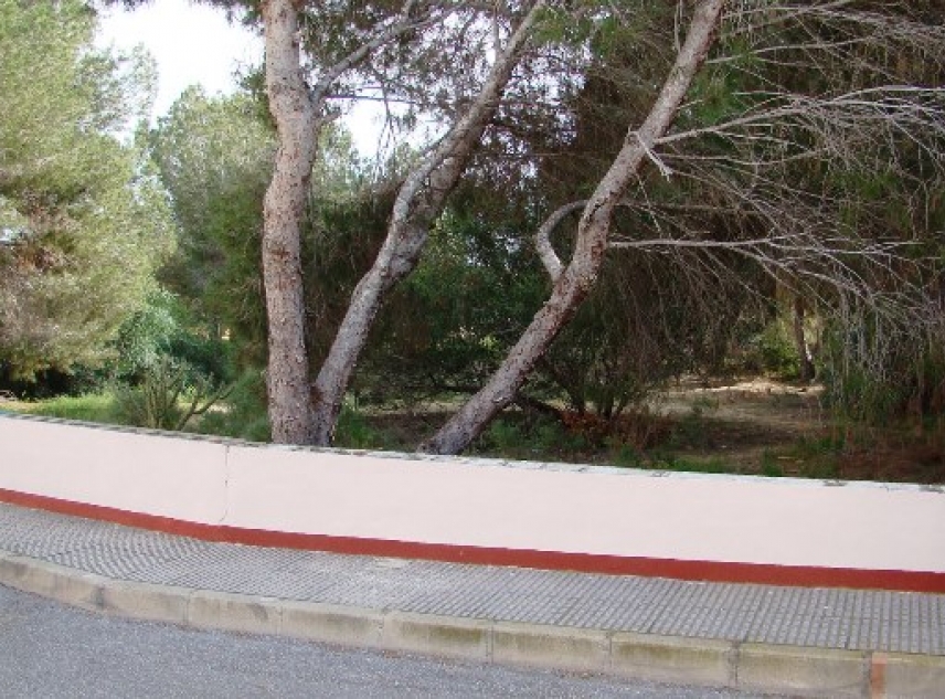 Archived - Plot for sale - Algorfa - Montemar