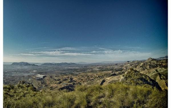 View of the Vega Baja
