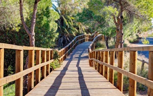 Decked boardwalk through the Pine Forest down to El Rebollo beach