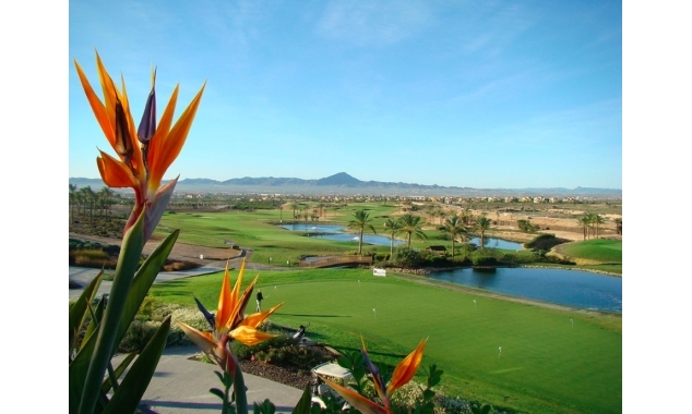 Propriété neuve à vendre - Apartment for sale - Fuente Alamo de Murcia - Hacienda del Alamo Golf Resort