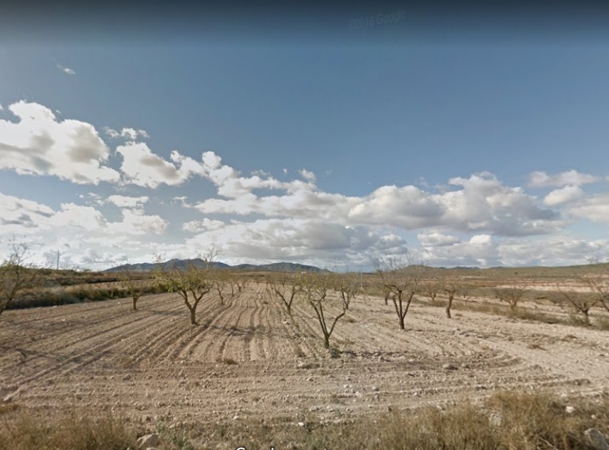 Archived - Plot for sale - Pinoso