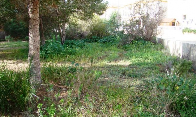 Archived - Plot for sale - Algorfa - Montemar