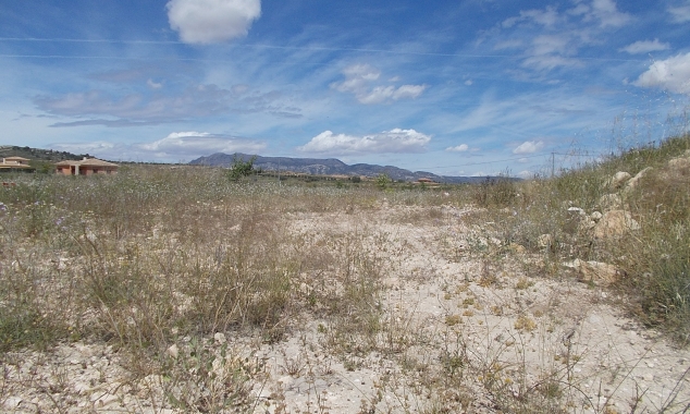 Archived - Plot for sale - Pinoso
